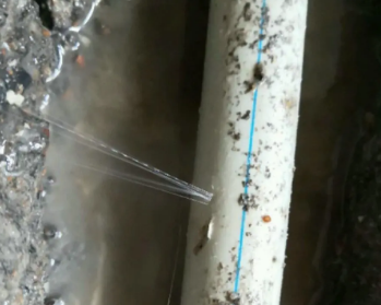 秦安卫生间测漏水多少钱