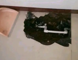 秦安卫生间测漏水多少钱